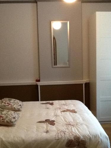 a bedroom with a bed with a mirror on the wall at Het Harlekijntje in Maastricht