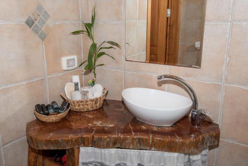 uma casa de banho com um lavatório e um espelho em Liora's Paradise em Had Nes
