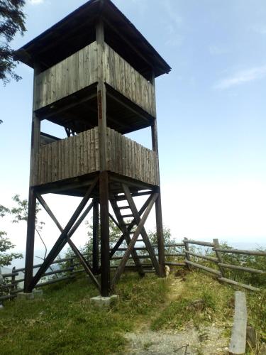 a wooden lookout tower on top of a hill at Viola i Detelina Apartments in Perućac