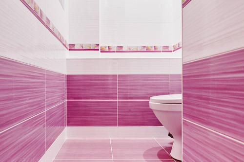 ロストフ・ナ・ドヌにあるApartments On Patsaeva 19/1 Dの紫と白の壁のバスルーム、トイレ