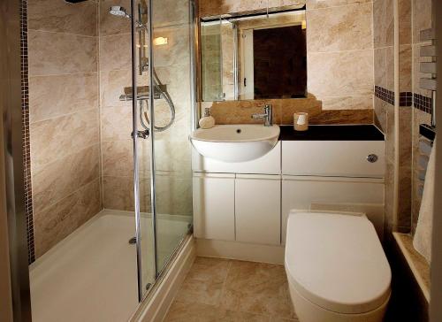 a bathroom with a toilet and a sink and a shower at Rose Cottage in Lincoln