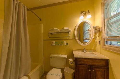 La salle de bains est pourvue de toilettes, d'un lavabo et d'un miroir. dans l'établissement Hyland Motor Inn, à Cape May Court House