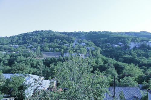 an aerial view of a hill with trees and houses at Best Host in Sighnaghi