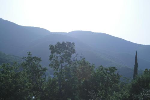 Blick auf einen Berg mit Bäumen im Vordergrund in der Unterkunft Best Host in Sighnaghi
