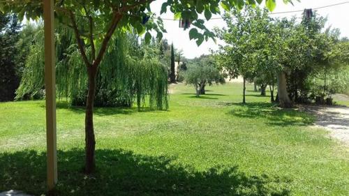 a park with trees and green grass and a field at Potokia Rooms in Kakóvatos