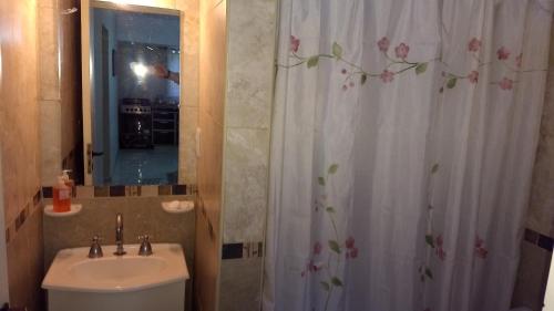 a bathroom with a sink and a shower curtain at San Clemente Aventura in San Clemente del Tuyú