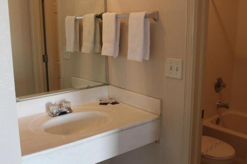 uma casa de banho com lavatório, espelho e toalhas em Adobe Inn Motel em Clint