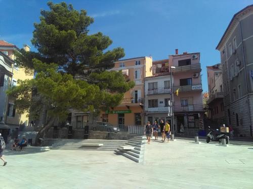 Φωτογραφία από το άλμπουμ του apartment Sandra 2+2 *** σε Crikvenica