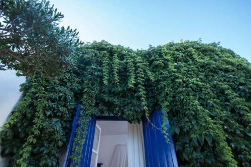 Κήπος έξω από το Sunrock Suites
