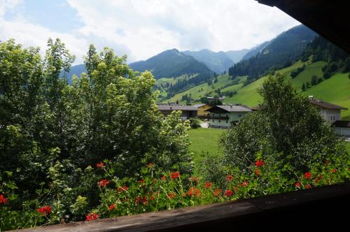 a view of a valley with trees and flowers at Haus Fercher in Grossarl