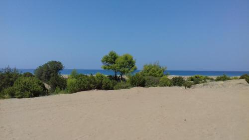 a sandy beach with a tree on top of it at Potokia Rooms in Kakóvatos