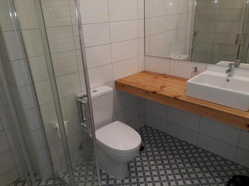 a bathroom with a toilet and a sink at Casa da Sé in Angra do Heroísmo