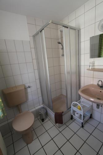 ein Bad mit einer Dusche, einem WC und einem Waschbecken in der Unterkunft Landhotel Gutsherrn-Klause in Dankerode