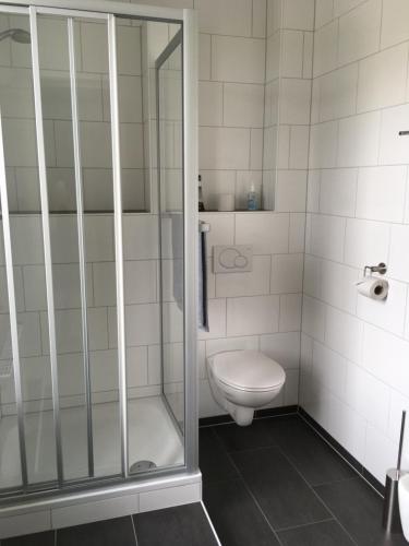 a bathroom with a toilet and a glass shower at Hotel Brasserie Typisch in Kell