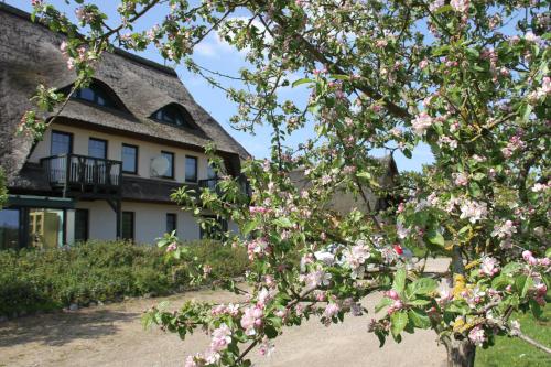 Kur-& Landhotel Borstel - Treff – Photos 3