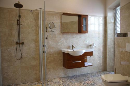 a bathroom with a shower and a sink and a toilet at Kur-& Landhotel Borstel - Treff in Dabel