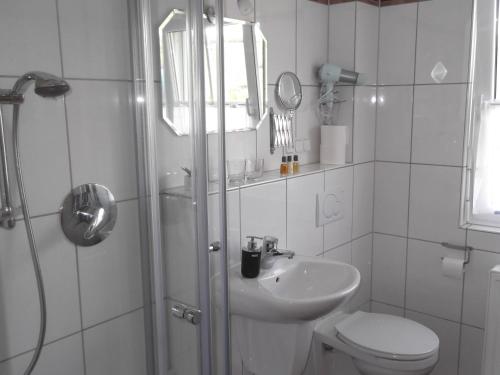 La salle de bains est pourvue d'une douche, de toilettes et d'un lavabo. dans l'établissement Ferienwohnungen Gibbert, à Pünderich