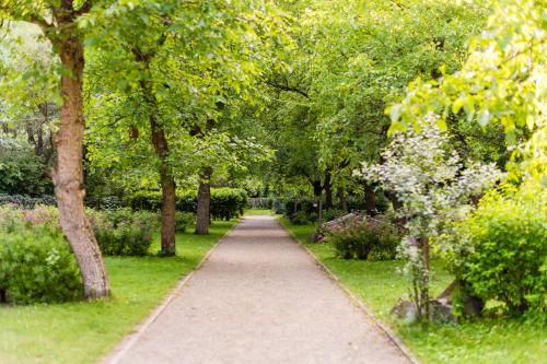 a path in a park with trees and bushes at Öko-Park Panzió, Kemping és Rendezvényközpont in Szarvaskő