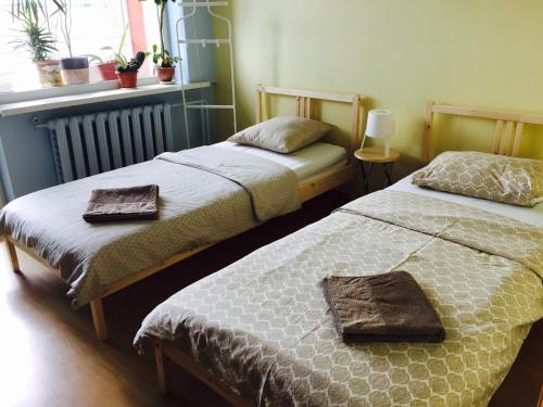 two beds in a small room with a window at Green Hall apartment in Ignalina