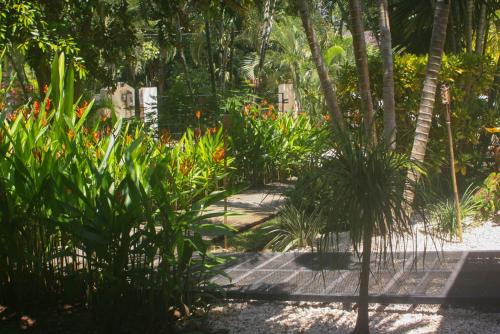 Vista Hermosa Bed and Breakfast