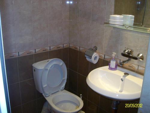a bathroom with a toilet and a sink at Villa Irina in Kŭrdzhali