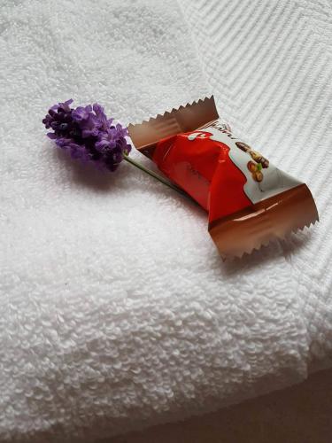 a toothbrush with a flower on top of a towel at Magnolia Pokoje Gościnne in Malbork