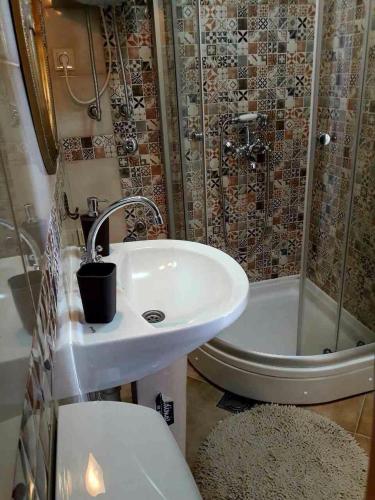 a bathroom with a sink and a shower and a toilet at Bella Vista Zmukic in Perast