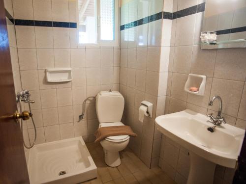 een badkamer met een toilet en een wastafel bij Eleni's Studios in Kateliós
