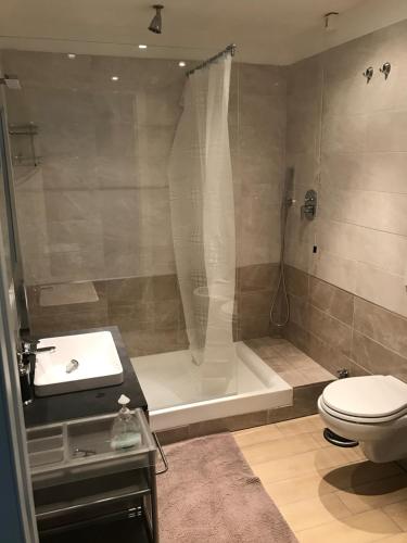 een badkamer met een douche, een toilet en een wastafel bij Casa Stefania in Basiglio