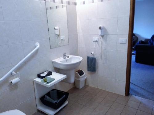 a bathroom with a sink and a toilet and a shower at Ballarat Eureka Lodge Motel in Ballarat