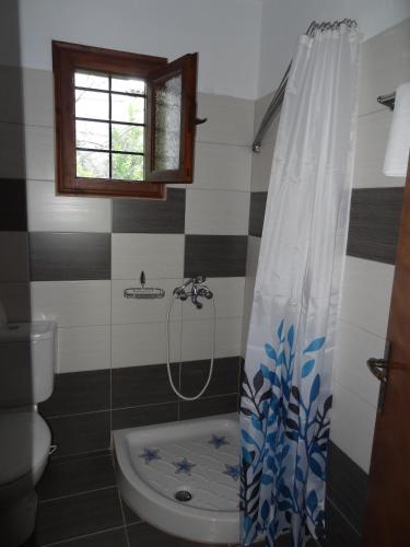 a bathroom with a shower and a toilet at Germanis House in Agios Ioannis Pelio