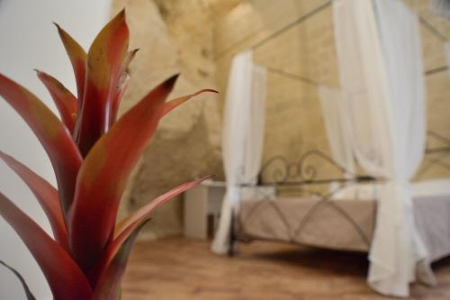 a plant in a vase next to a window at B&B Fontana La Stella in Gravina in Puglia