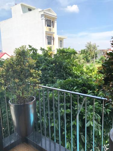 a plant in a pot on a balcony with a building at F & F Hotel in Hai Phong