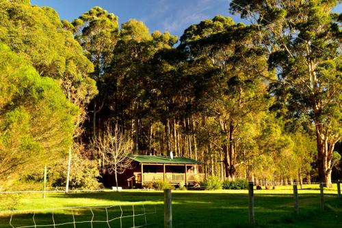 a house in the middle of a field with trees at Diamond Forest Farm Stay in Manjimup