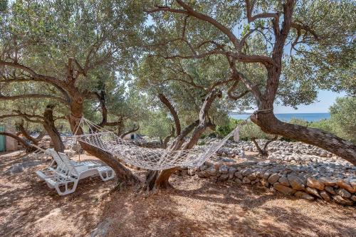 Φωτογραφία από το άλμπουμ του Holiday home Nikol σε Veli Lošinj