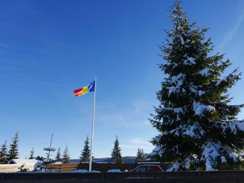 a flag on a pole next to a christmas tree at Pensiunea Vis Alpin Belis in Beliş