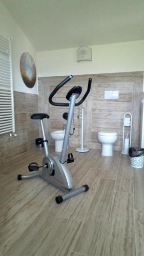 a gym with a exercise bike and a toilet at Cominium Benessere in Alvito