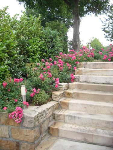a set of stone steps with pink flowers at Villa Fleurie in Schledehausen
