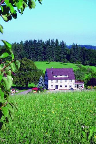 una gran casa blanca en un campo de hierba en Gasthaus und Pension Hintere Höfe, en Freiamt