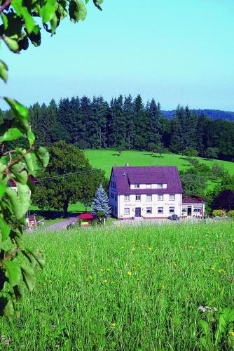 ein großes weißes Haus auf einem Grasfeld in der Unterkunft Gasthaus und Pension Hintere Höfe in Freiamt