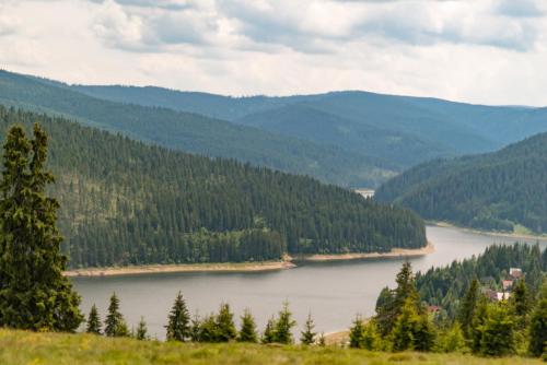 a view of a lake in the mountains at Pensiunea Vis Alpin Belis in Beliş