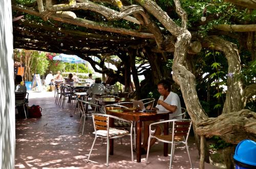 Un uomo seduto a un tavolo sotto un albero di Hostal Alocs a Playa d'Es Figueral