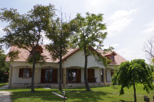 a house with two trees in the yard at Fekete Lovastanya in Kiskunfélegyháza