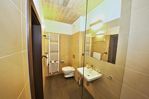 a bathroom with a sink and a toilet and a mirror at Pension Jezerná in Zduchovice