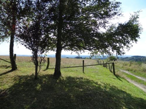 two trees in a field with a fence at La Fermette Blanche in Nadrin