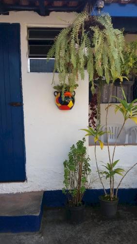 a wall with plants in front of a building at Pousada Via Maria in Cananéia