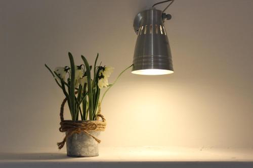 a lamp with a vase with flowers in it at Aduepassi apartments in Manfredonia