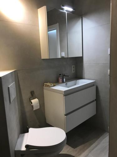 La salle de bains est pourvue de toilettes, d'un lavabo et d'un miroir. dans l'établissement De Haan, au Coq