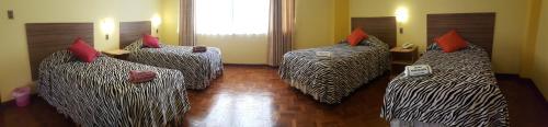 a room with three beds with zebra print sheets at Hotel Nuevo Sol in La Paz