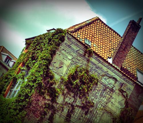a building with ivy growing on the side of it at Hostel Lybeer Bruges in Bruges